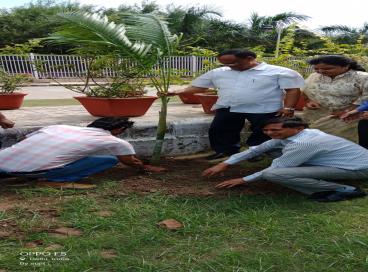 Vriksha Ropan Samaroah