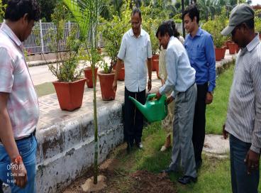 Vriksha Ropan Samaroah