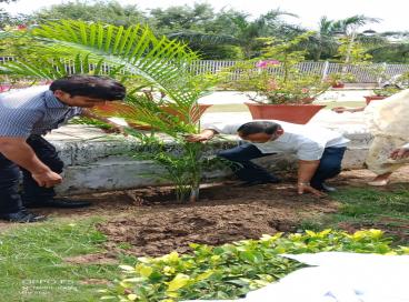 Vriksha Ropan Samaroah